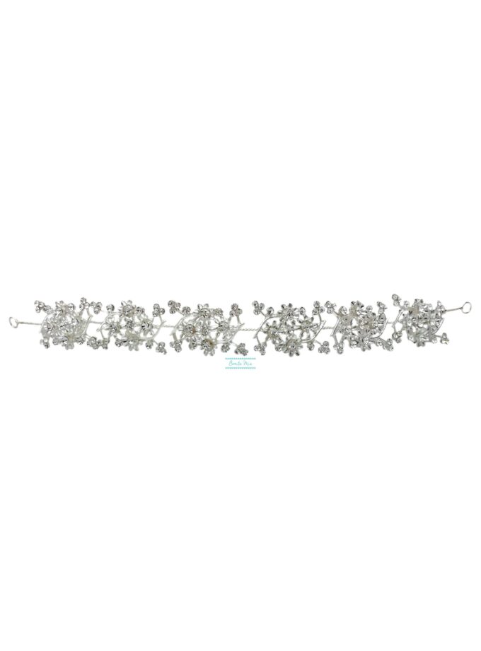 Semicorona plata flores