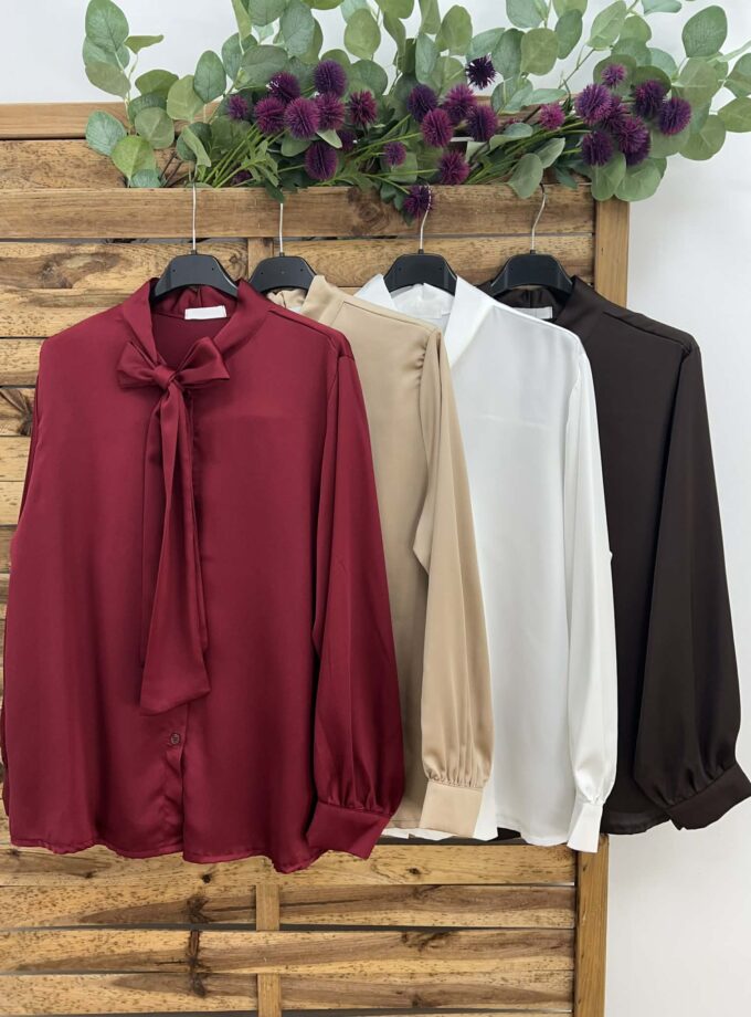 Camisa lazo +colores