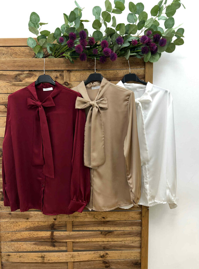 Camisa lazo +colores