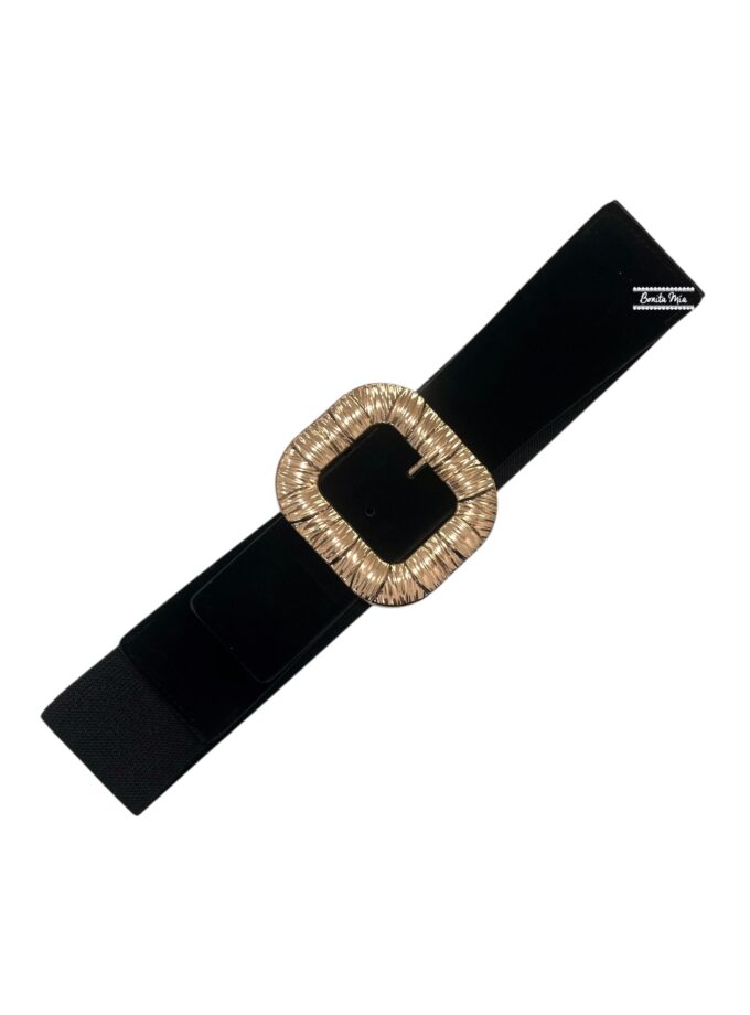 Cinturón ante negro