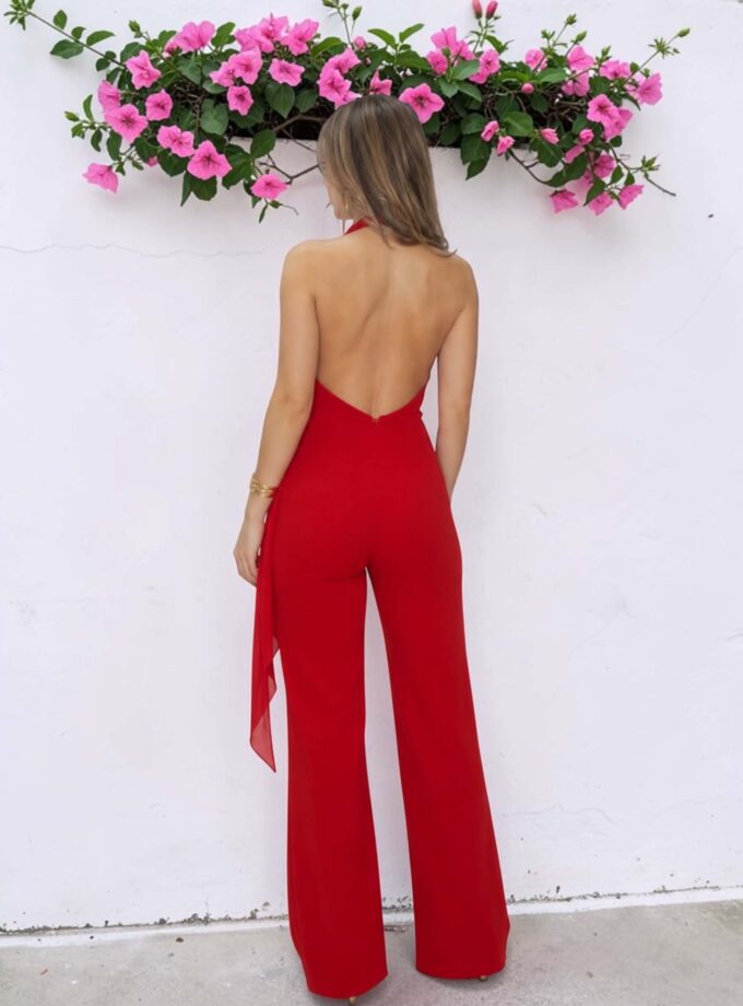 Mono Priscila rojo